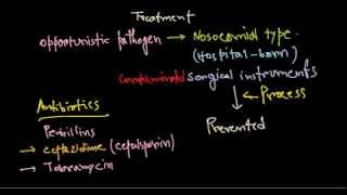 Pseudomonas aeruginosa treatment [upl. by Noiramed939]