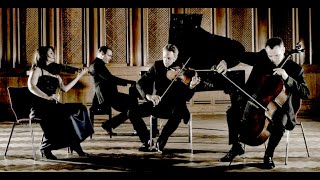 Brahms  piano quartet no 1 gminor op 25  Fauré Quartett [upl. by Ambrosi]