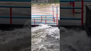 MARIKINA RIVER UPDATE  OCTOBER 24 2024 [upl. by Atnicaj566]