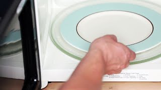 How to Warm Dinner Plates — Is the Microwave Safe [upl. by Ellevehs451]