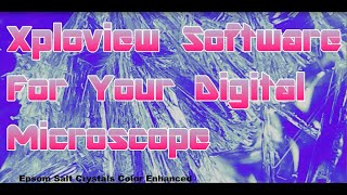 Xploview Software for your Digital Microscope [upl. by Jeannie]