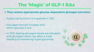 Mechanism of Action for GLP 1 RAs quotThe Howquot [upl. by Nedlog378]