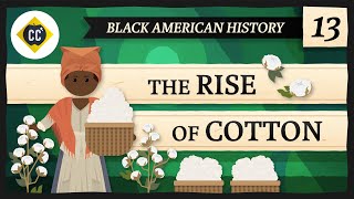 The Rise of Cotton Crash Course Black American History 13 [upl. by Yelserp]