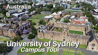 University of Sydney campus tour Australia university [upl. by Afirahs]