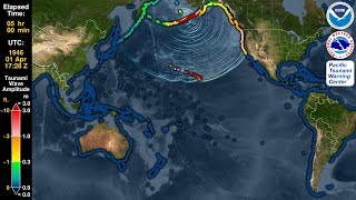 Tsunami Forecast Model Animation Aleutian Islands 1946 [upl. by Howie113]