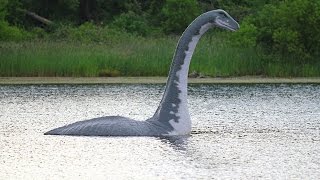 Das Geheimnis von Loch NessDoku Deutsch [upl. by Ehcar]