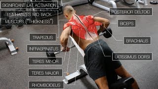 The Best ScienceBased Back Workout TARGET EVERY MUSCLE [upl. by Hunt]