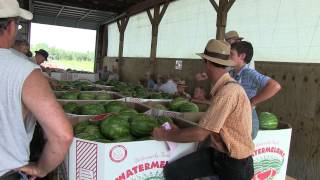 Produce Auction In Lancaster County [upl. by Tod]