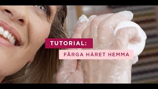 Färga håret hemma med Excellence  Tutorial  L’Oréal Paris [upl. by Bruell]