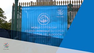 World Cotton Day launch at WTO [upl. by Coy]