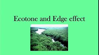 Ecotone and Edge effect  envirocademy [upl. by Ahker]