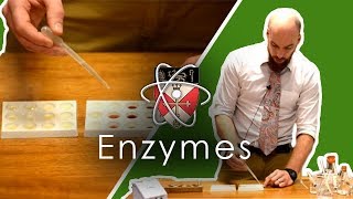 Enzymes  GCSE Science Required Practical [upl. by Aimee]