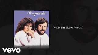 Pimpinela  Vivir Sin Ti No Puedo Pseudo Video [upl. by Hussar163]