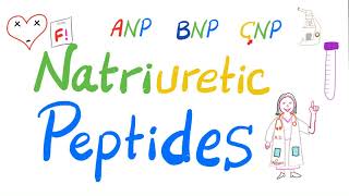 Natriuretic Peptides  ANP BNP amp CNP  Atrial Natriuretic Peptide Brain Natriuretic Peptide  Lab [upl. by Artied372]