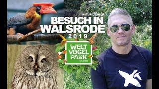 Mein Besuch im Vogelpark Walsrode 2019 [upl. by Grimbald933]