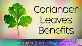 Coriander Leaves Benefits and Uses DhaniaCilantro [upl. by Namilus]