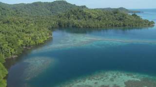 Wild New Britain Papua New Guinea [upl. by Laius]