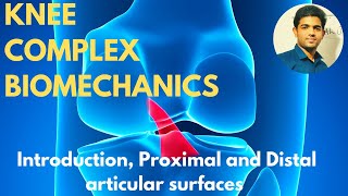 Knee Complex Biomechanics  IntroductionProximal amp Distal articular surfaces [upl. by Euginom]