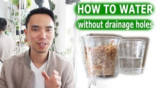 How to water when you have no drainage holes  House Plant Journal [upl. by Ambur]