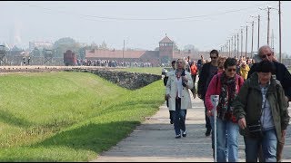 walking through auschwitz [upl. by Suoivart948]