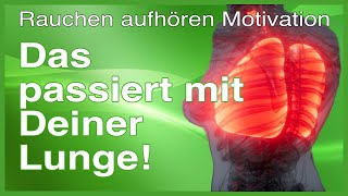 Rauchen aufhören Motivation  das passiert mit der Lunge [upl. by Asilrac229]