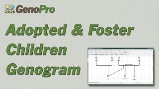 Adopted amp Foster children in genograms [upl. by Norbert545]