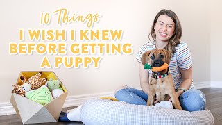 10 Things I Wish I Knew Before Getting a Puppy [upl. by Alael620]