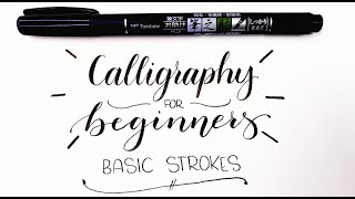 Calligraphy For Beginners Basic Strokes [upl. by Atelra]