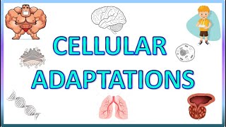 Cell Adaptations  Pathology  Hypertrophy Hyperplasia Atrophy amp Metaplasia [upl. by Lamoureux]