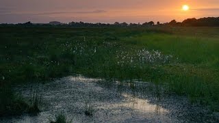 The Unnerving Evidence of Sacrifice in These Irish Bogs [upl. by Grantham]