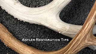 Antler Restoration Tips  Broken Tines amp Staining [upl. by Hewart]