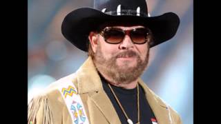 Canyonero  Hank Williams Jr [upl. by Cerallua315]