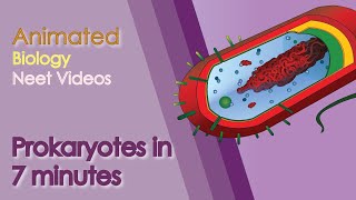 NEET Biology Animation The cellUnit of lifeProkaryotes [upl. by Kirkwood846]