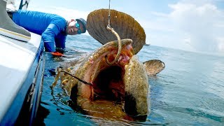 Caught a Monster Grouper that Weighed MORE than the BOAT [upl. by Melborn798]