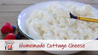 The Easiest Cottage Cheese Recipe Ever Only 1 Ingredient [upl. by Pentha]