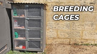 Pigeon Breeding Cages [upl. by Mariana]