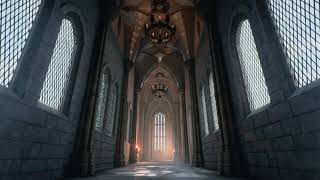 The Wizarding World of Harry Potter The Corridors of Hogwarts  Ambience amp Music [upl. by Ytirehc]