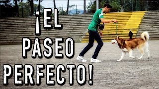 El PASEO PERFECTO con un PERRO IMPOSIBLE  MartGon [upl. by Watt]