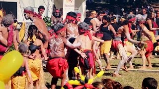 NAIDOC Week Musgrave Park Family Fun Day [upl. by Wilkie]