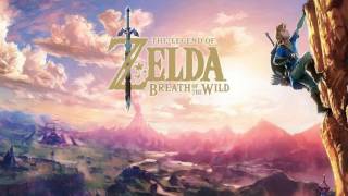 Field Battle The Legend of Zelda Breath of the Wild OST [upl. by Philander729]