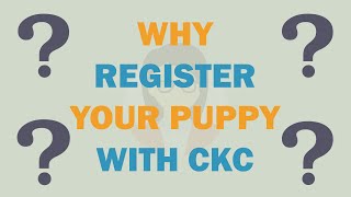 Why Register Your Puppy with Continental Kennel Club [upl. by Auston]