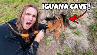 RESCUING FROZEN IGUANAS FROM UNDERGROUND CAVES [upl. by Colb]