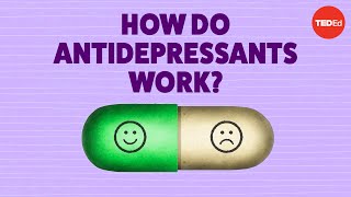 How do antidepressants work  Neil R Jeyasingam [upl. by Kingsbury]