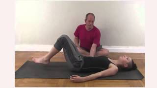 Transverse abdominis A back pain muscle [upl. by Sarah]