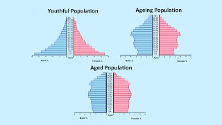 How to Read a Population Pyramid [upl. by Hermie]