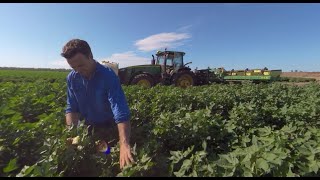 The Australian Cotton Industry 360degree video [upl. by Ytirahs]