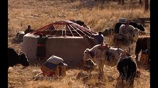 The Nomadic Existence of a Mongolian Herding  Tribe  Earth Unplugged [upl. by Nairde279]