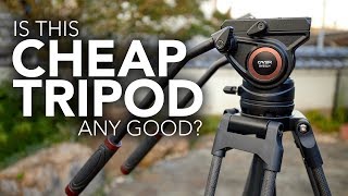 Is This Cheap Video Tripod Any Good Cayer BV25LH Unboxing amp Review [upl. by Sothena]