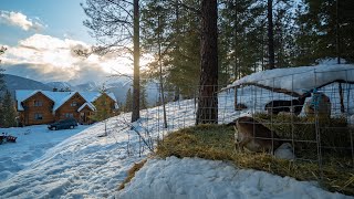 Montana Haven Log Home And Mountain Homestead Tour [upl. by Vasiliki]