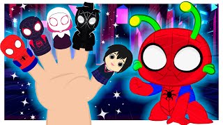 Finger Family SPIDERMAN version 🕸️  Kids Songs  Groovy the Martian [upl. by Marja]